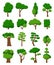 Set of sixteen vector trees