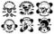 Set of skateboarding club emblems with skulls. Design element for poster, logo, sign, label, t shirt.