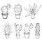 Set of sketch cactus and aloe