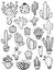 Set Of Sketch Cactus Icons.