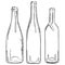 Set of sketch empty wine bottles. Vector hand drawn contour of bottles