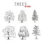 Set sketch trees. Collection trees