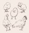 Set sketches of chickens vector illustration art