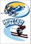 Set of skiing sport badge