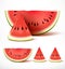 Set of sliced ripe red watermelon in 3d realistic detailed vector