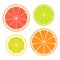 Set of slices of different citrus fruits isolated on white background. Juicy fruit. Vector Illustration.