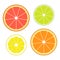 Set of slices of different citrus fruits isolated on white background. Juicy fruit. Vector Illustration.