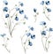 A set of small blue flowers on a white background, bouquets of daisies, flower branches. Hand drawn spring flowers