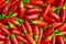 set of small defocused red chillies, useful for picture background.