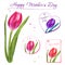 Set of small postcards with hand drawn tulips. Floral design elements.
