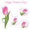 Set of small postcards with hand drawn tulips. Floral design elements.