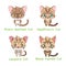 Set of small sized wild cat species