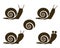 Set of Snail icon and signs