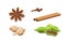 Set of spices and herbs realistic anise star, cinnamon stick, cardamon, dried cloves nutmeg isolated