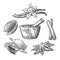 Set of Spices, Mortar and Pestle.. Vintage engraved illustration.