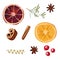 A set of spices for mulled wine: orange, rosemary, cinnamon, berries. Isolated on a white background