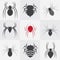 Set of spider icons