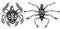 Set of spider icons