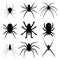 Set of spider silhouette vector icon. Top view