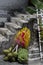 A set of spiritual offerings including bananas and coconuts in front a the stairs of a temple in Chiang Mai, Thailand.