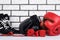 Set of sports stuff for boxing and martial arts on a brick wall background