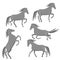 Set of spotted gray horses isolated on a white background. Vector graphics