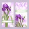 Set of spring banners with Purple Iris Flowers