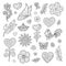 Set of Spring Cartoon Design Elements Flower, Heart, Butterfly, Sun, Leaf, Paper Boat, Bird, Twig for Cutting Out