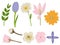 A Set of spring elements such as orange flower, daisy, crocus, apple blossom, frangipani, tulip, and others in a hand-drawn
