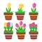 Set spring flowers in ceramic pots with decor: yellow and pink tulips, daffodils, yellow, blue and raspberry hyacinths.