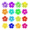 Set of spring primrose - primula flowers. vector illustration