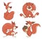 Set of squirrels cartoon