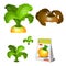 Set of stages of life of a agricultural plant turnip isolated on white background. Paper packaging for storage of seeds