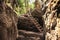 Set of stairs descending into a cave in a lush, green forest