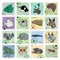 Set of stamps with different animals