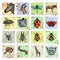 Set of stamps with different animals