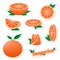 Set stickers of fresh citrus sliced and whole tangerine fruit with skin with green leaves on a white background. The concept of