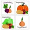Set of stickers and labels of fresh vegetables. It can be used f