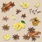 Set of stickers spices for tea and coffee: cinnamon, lemon, star anise. Vector illustration white stroke on cut out on beige