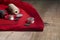 Set of stitching tools on red cloth