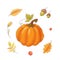 Set in the style of hand drawing pumpkin, autumn and leaves.