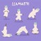 Set of stylish cartoon llamas in various poses of yoga. Vector illustrations isolated on purple background.