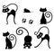 A set of stylish cats in profile and in the face. The cat plays with the mouse, sleeps, stretches, before jumping. Black and white