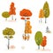 Set of stylistic trees. Trees forest simple plant silhouette icon. Hand drawn isolated illustrations