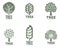 Set of stylized abstract graphic tree logo templates, vector illustration
