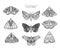 Set of stylized celestial moth. Collection of flying magic insects with floral ornament.