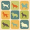 Set of stylized colored icons of dog breeds