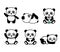 Set of stylized cute baby pandas in different positions - sleeping, playing, eating noodles, isolated on white. Vector