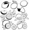 Set of stylized lemons. Collection of black and white lemons for logos. Vector illustration of citrus fruits for