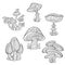 Set of stylized ornamental mushrooms. Line art collection. Tattoo. Coloring book